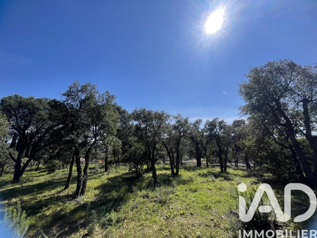 Vente  Terrain de 3231 m² à Sainte Maxime 1 480 000 euros Réf: SFN-1979046