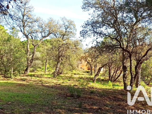 Vente  Terrain de 1520 m² à Sainte Maxime 760 000 euros Réf: SFN-1979037