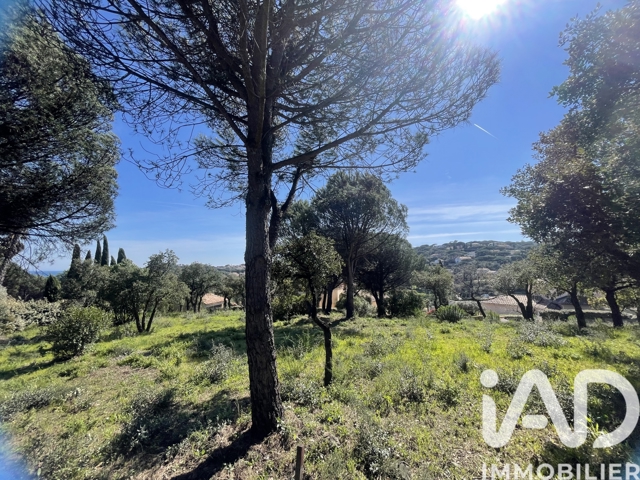 Vente  Terrain de 1700 m² à Sainte Maxime 850 000 euros Réf: SFN-1979018