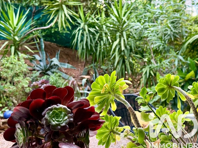 Vente  Appartement T4  de 84 m² à Toulon 272 000 euros Réf: SFN-1987741