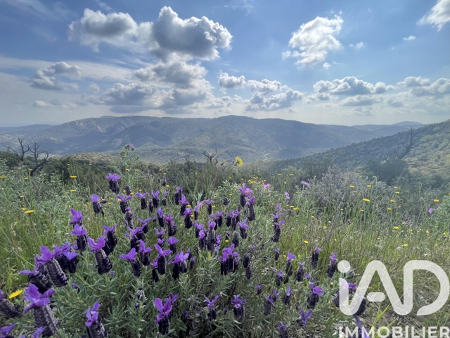 Vente  Terrain de 39120 m² à Vidauban 10 300 euros Réf: SFN-2016569