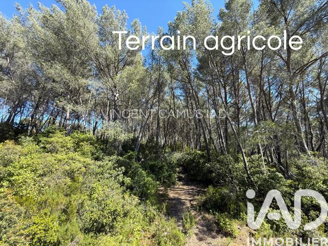 Vente  Terrain de 7325 m² à La Cadière d'Azur 39 000 euros Réf: SFN-2024196