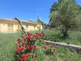 Vente  Maison de 133 m² à Les Arcs 735 000 euros