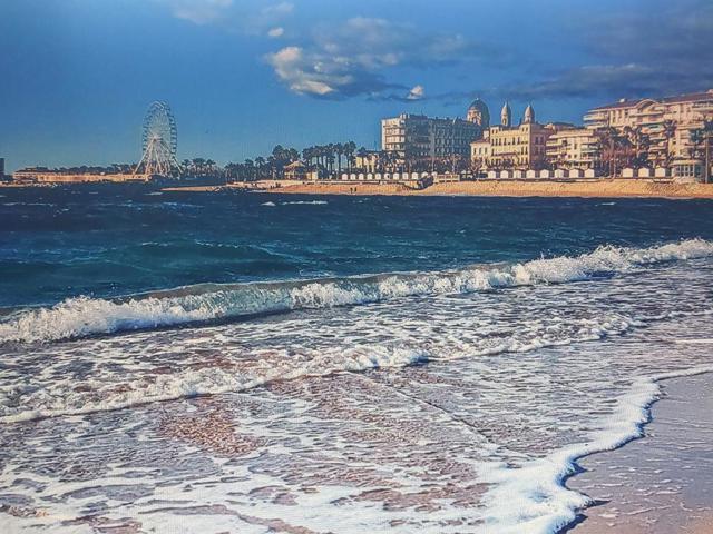 Vente  Appartement T2  de 31 m² à Saint Raphaël 343 236 euros Réf: SFN-1918724-16