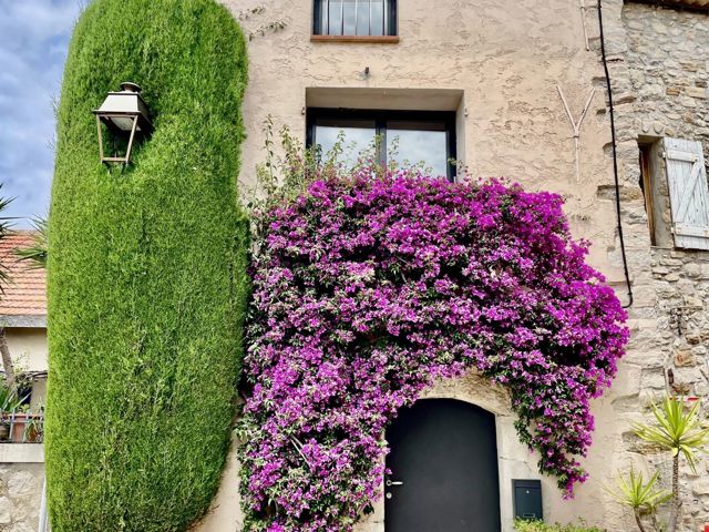 Vente  Maison de 150 m² au Castellet 695 000 euros Réf: SFN-1747196
