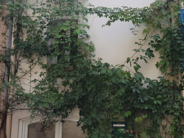 Vente  Maison de 118 m² à Puget Ville 292 500 euros Réf: SFN-1977544
