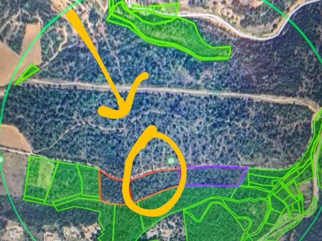 Vente  Terrain de 9000 m² à Lorgues 23 000 euros Réf: SFN-1978695