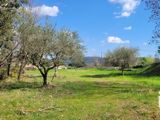 Vente  Terrain de 6447 m² à Salernes 145 000 euros