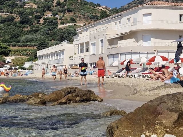 Vente  Studio de 28 m² au Lavandou 270 000 euros Réf: SFN-1943884