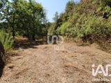 Vente  Terrain de 3552 m² au Luc 169 000 euros
