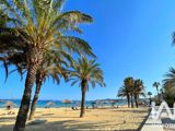 Vente  Maison de 40 m² à Bormes les Mimosas 239 990 euros