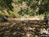 Vente  Terrain de 3552 m² au Luc 169 000 euros