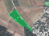 Vente  Terrain de 25105 m² au Cannet des Maures 20 000 euros