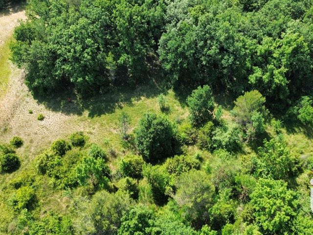 Vente  Terrain de 12527 m² à Nans les Pins 45 000 euros Réf: SFN-2120966