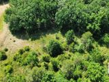 Vente  Terrain de 12527 m² à Nans les Pins 45 000 euros