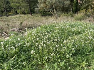 Vente  Terrain de 828 m² au Beausset 349 000 euros Réf: SFN-2124264