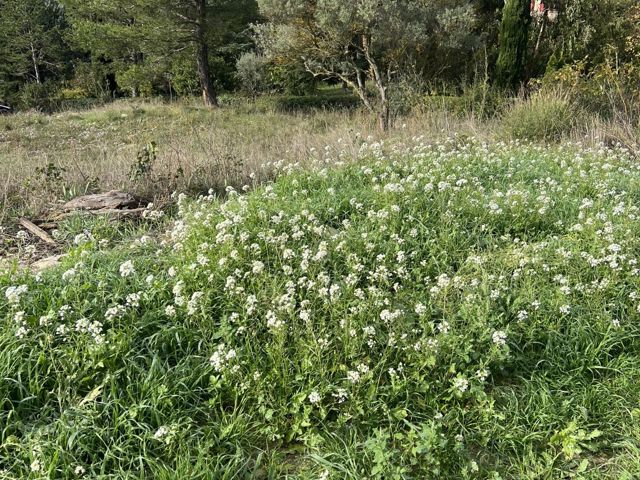 Vente  Terrain de 828 m² au Beausset 349 000 euros Réf: SFN-2124264