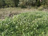Vente  Terrain de 828 m² au Beausset 349 000 euros